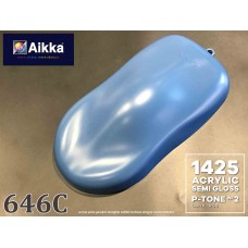 PANTONE COLOUR - 646C Aikka The Paints Master  - More Colors, More Choices