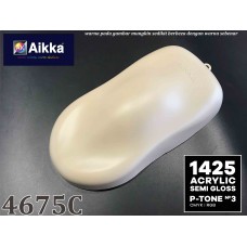 PANTONE COLOUR - 4675C Aikka The Paints Master  - More Colors, More Choices