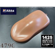 PANTONE COLOUR - 479C Aikka The Paints Master  - More Colors, More Choices