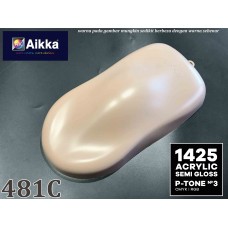 PANTONE COLOUR - 481C Aikka The Paints Master  - More Colors, More Choices