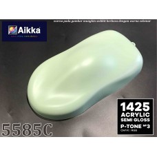 PANTONE COLOUR - 5585C Aikka The Paints Master  - More Colors, More Choices