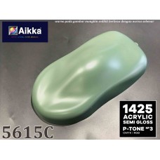 PANTONE COLOUR - 5615C Aikka The Paints Master  - More Colors, More Choices