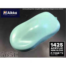 PANTONE COLOUR - 565C Aikka The Paints Master  - More Colors, More Choices