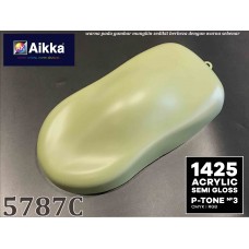 PANTONE COLOUR - 5787C Aikka The Paints Master  - More Colors, More Choices