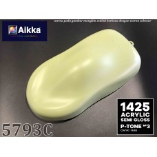 PANTONE COLOUR - 5793C Aikka The Paints Master  - More Colors, More Choices