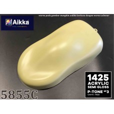 PANTONE COLOUR - 5855C Aikka The Paints Master  - More Colors, More Choices