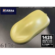 PANTONE COLOUR - 617C Aikka The Paints Master  - More Colors, More Choices