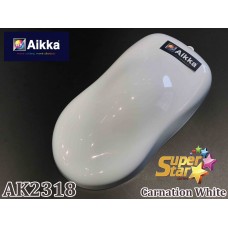 SUPER STAR COLOUR - AK2318 Aikka The Paints Master  - More Colors, More Choices